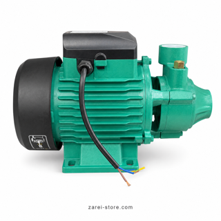 پمپ ۱ اسب محیطی تایفوQB80E